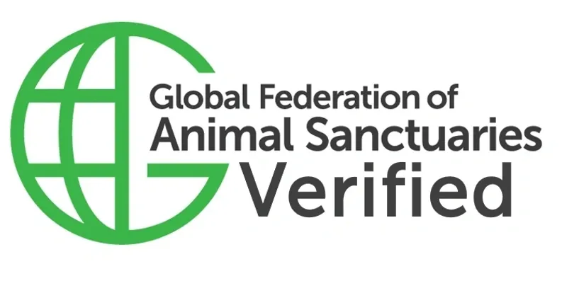 gfas