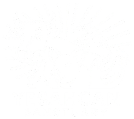 yesahcan-logo