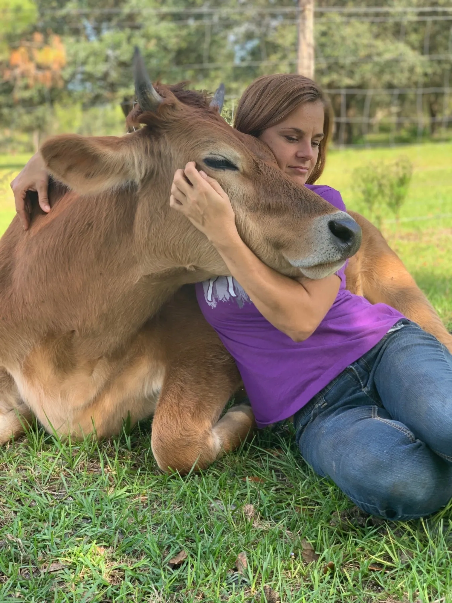 cow